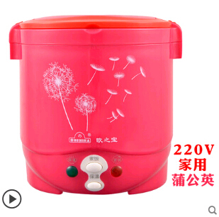 1L rice cooker used in house 110v to 220v or car 12v to 24v enough for two persons with english instructions - Image 6