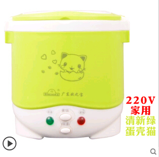 1L rice cooker used in house 110v to 220v or car 12v to 24v enough for two persons with english instructions - Image 8