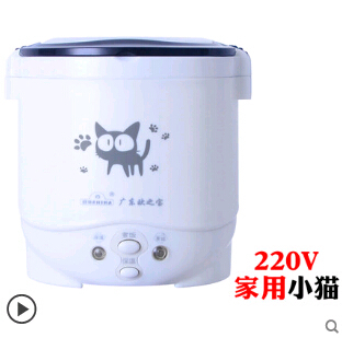 1L rice cooker used in house 110v to 220v or car 12v to 24v enough for two persons with english instructions - Image 5